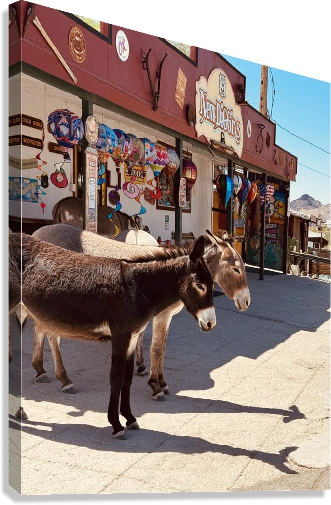Guardians of Oatman Canvas Print