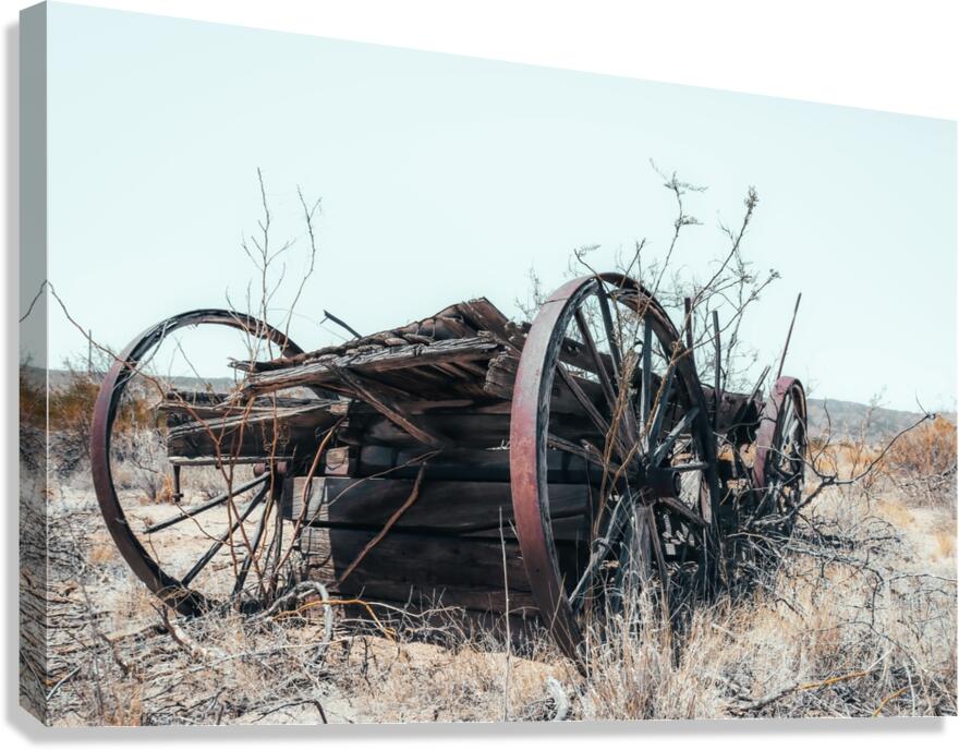 Terminus Canvas Print