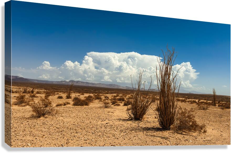 Monsoon Coming Canvas Print