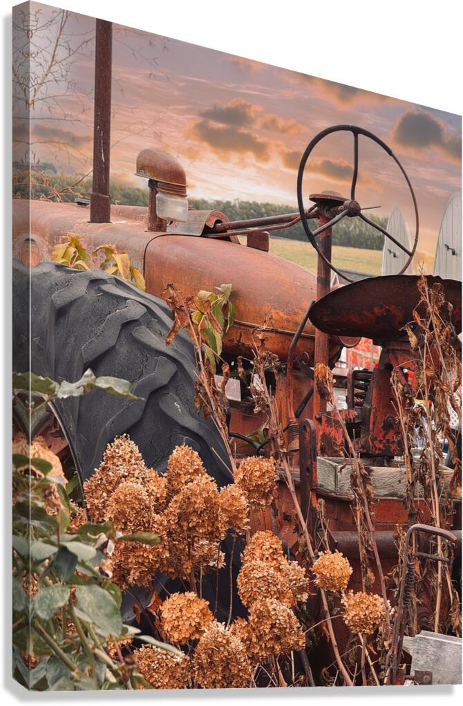 Something in the Orange. Vintage Farmall tractor Canvas Print