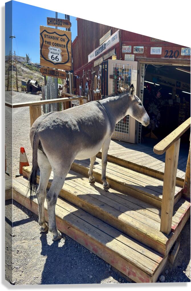 What’s on sale   Canvas Print