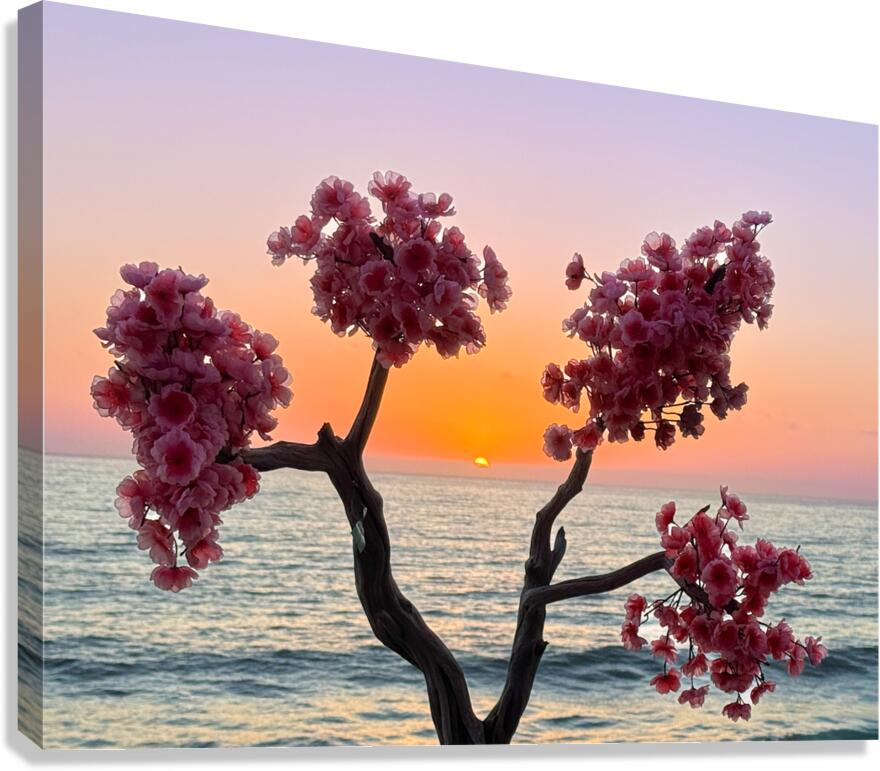 Rosarito Sunset - Rosarito Baja Mexico Canvas Print