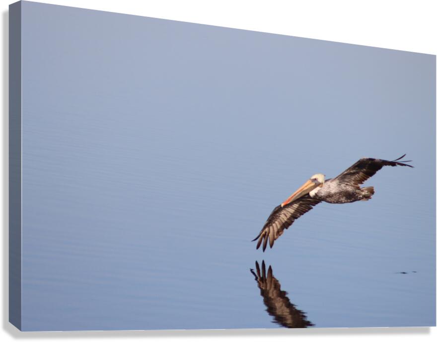 Touching the liquid sky Canvas Print