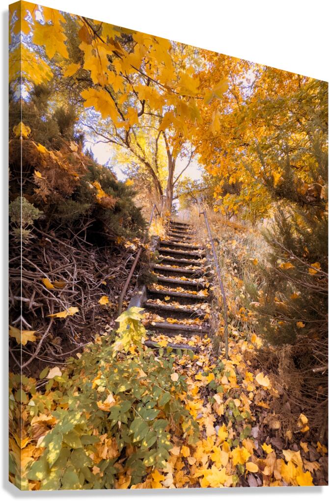 Autumn’s quiet retreat Canvas Print