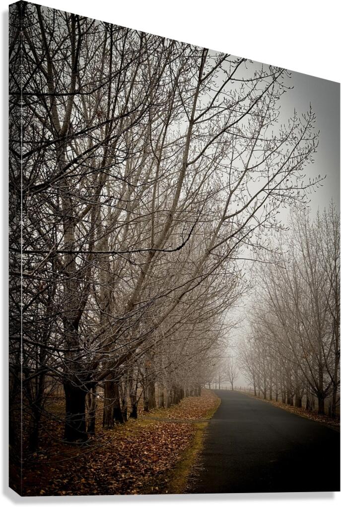 Winter’s Breath Canvas Print