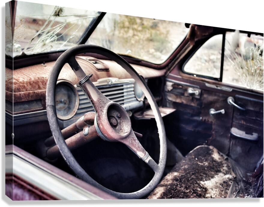 There’s nothing time hasn’t  touched Canvas Print