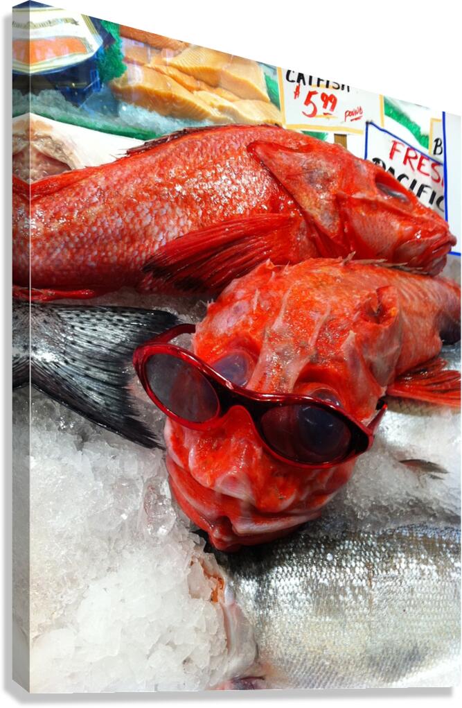 Something Fishy Canvas Print