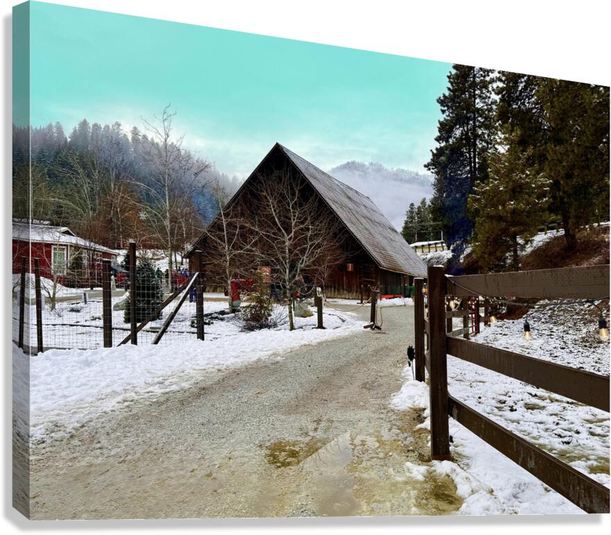 Winter time at Leavenworth Reindeer Farm Canvas Print