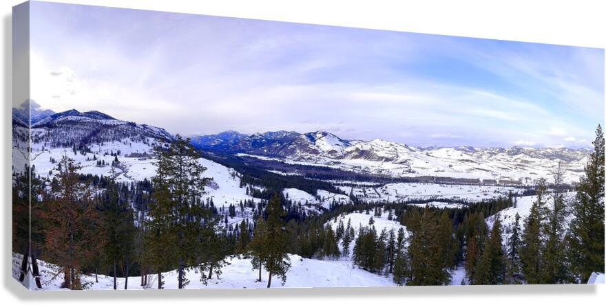 Winter in Washington Canvas Print