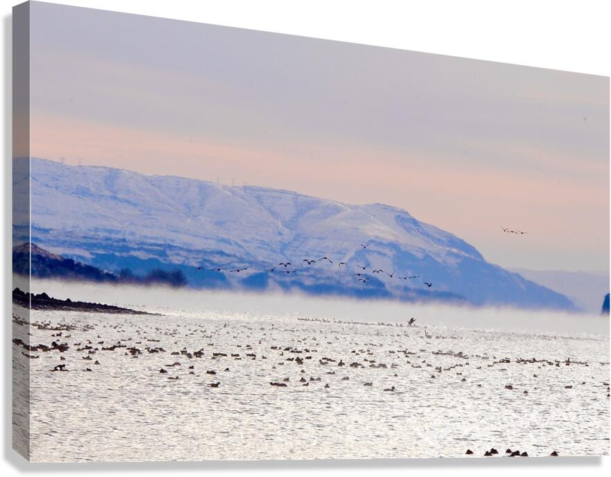 Beauty in the bitter cold - Columbia River 2 Canvas Print