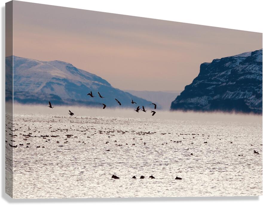 Beauty in the bitter cold - Columbia River 1 Canvas Print