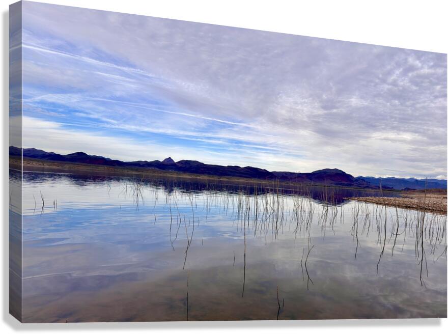 Alamo Lake Arizona -2 Canvas Print