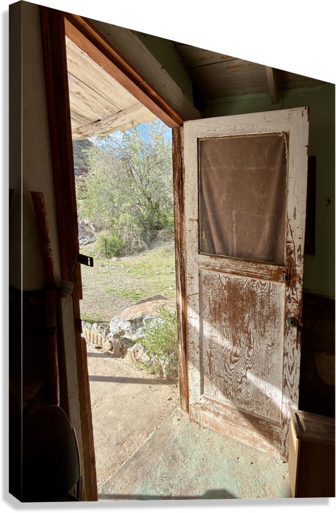 Stepping through time Canvas Print