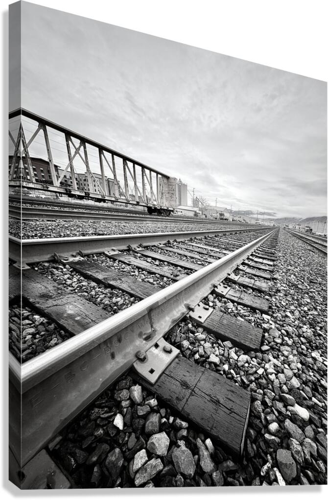 Leading Lines Canvas Print