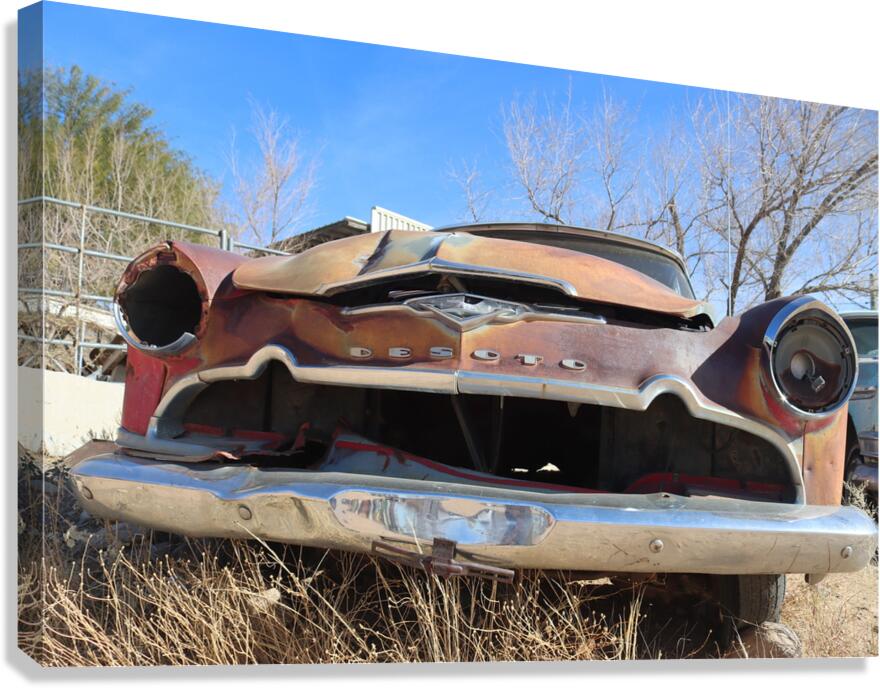 Desoto Canvas Print