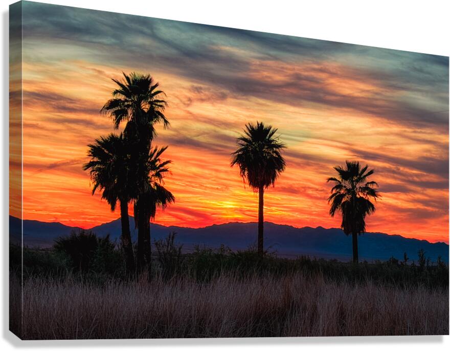 5 Mile Landing - Topock Marsh Canvas Print