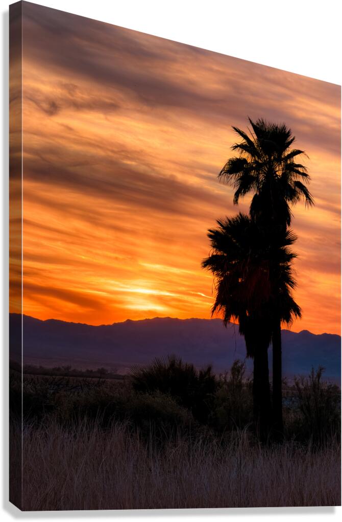 Topock Marsh Sunset Canvas Print