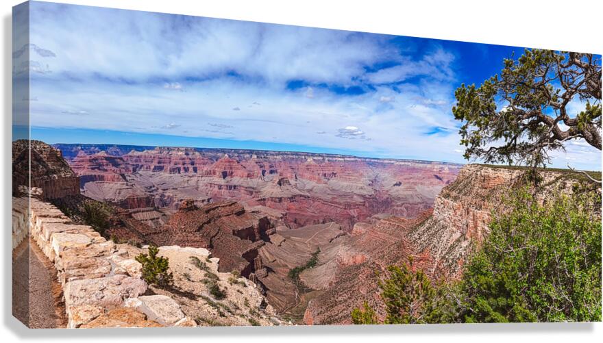 Grand Canyon from Grand Canyon Village Canvas Print