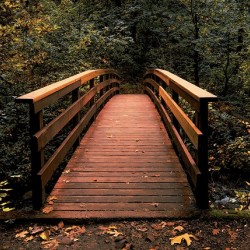 The path less traveled