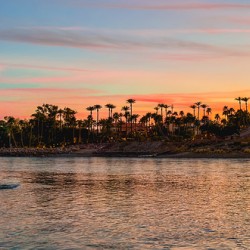 Colorado River - Needles CA Mohave Valley AZ