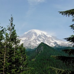Mt Rainier - square