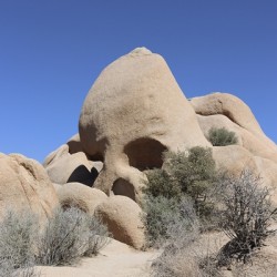 Skull Rock Joshua Tree National Park