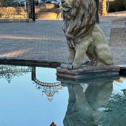 Reflection at the gate -1