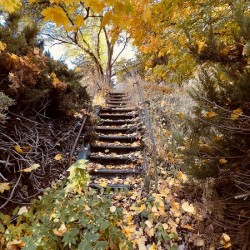 Autumn Staircase