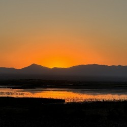 Sunset on the Marsh