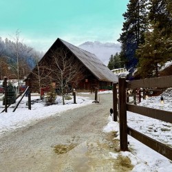 Winter time at Leavenworth Reindeer Farm