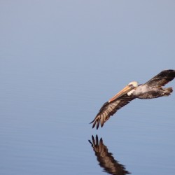 Touching the liquid sky