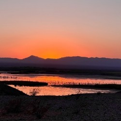 Sunset on the Marsh -2