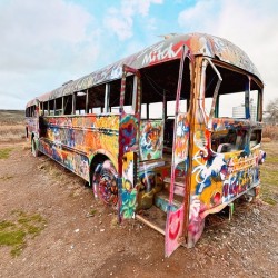 Magical Mystery Bus -1