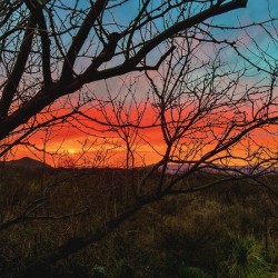 Colors of the Desert