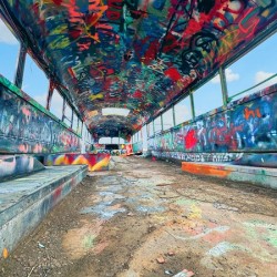 Magical Mystery Bus -2