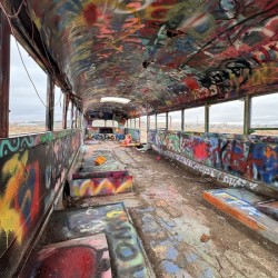 Magical Mystery Bus -3