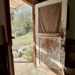 Stepping through time