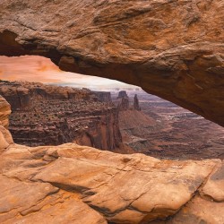 The Land Before Time