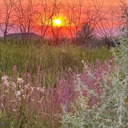 Sunset on Silica Road