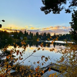 Star Lake Washington - 2