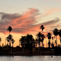 Havasu Sunset