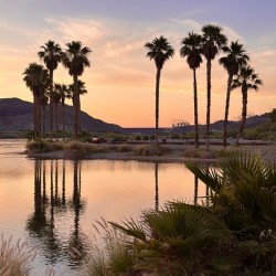 Sunset at Davis Camp -3 vertical