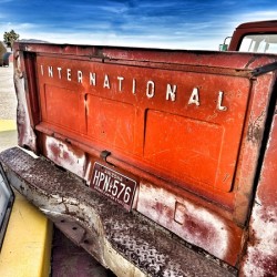 International Tailgate