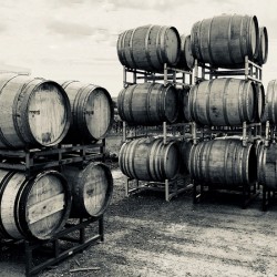 Barrels on the Crushpad