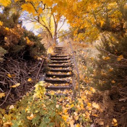 Autumn’s quiet retreat