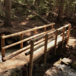 Forest Bridge