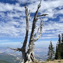 Wentachee Overlook - color