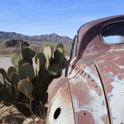 Old Cars and Cactus