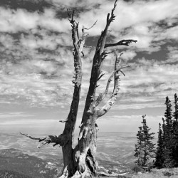 Wenatchee Overlook - black and white