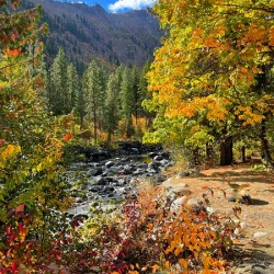 Autumn at Icicle River